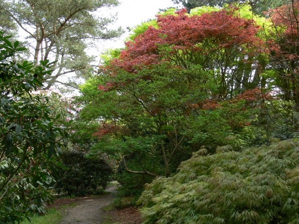 Bois des Moutiers (43) Mai 2012